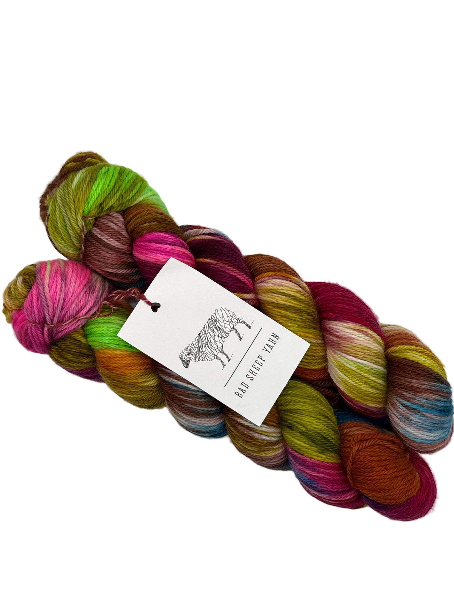 Two skieins of multicolored superwash merino wool yarn by bad sheep yarns in the color muse with tag on white background.