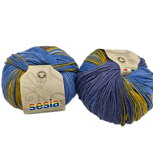 Image of two skeins of Bio Bimbo by Sesia yarn in the Color 3893 Ocean Deep with labels on a white background.