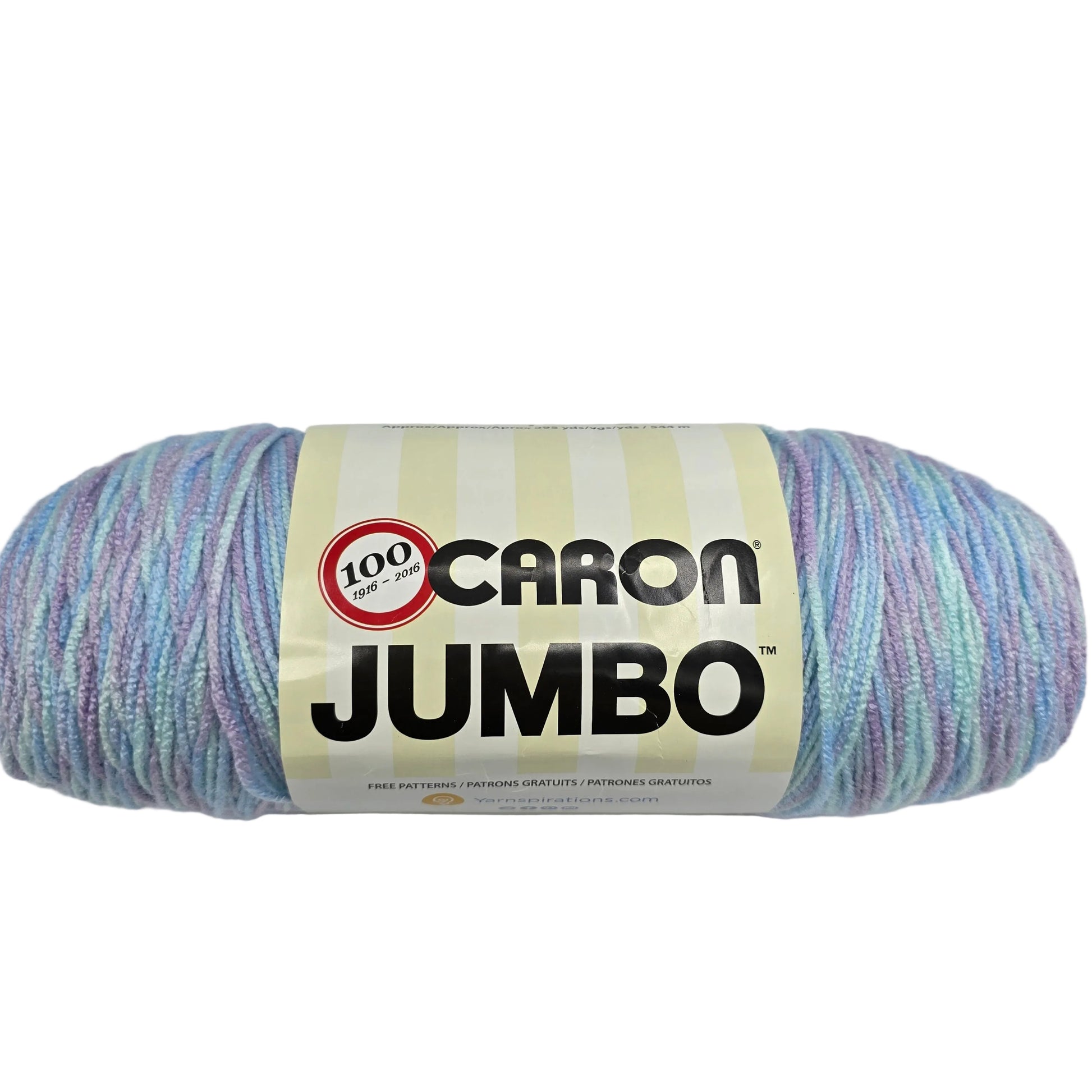 Image of a single skein of Caron Jumbo Yarn in the color Forget Me Not Varg with label on a white background.