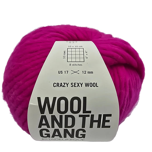 Image of a single ball of Crazy Sexy Wool Yarn by Wool And The Gang in the color Hot Punk Pink with label on white background.