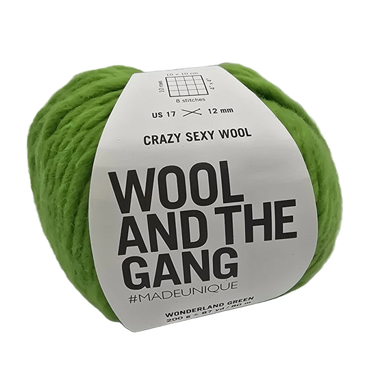 Image of a single ball of Crazy Sexy Wool yarn by Wool And The Gang in the color Wonderland Green with label on a white background.