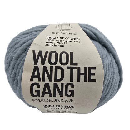 Image of a single ball of Crazy_Sexy_Wool_yarn by_Wool_and_the_Gang_in the color_Duck_Egg_Blue with label on a white background.