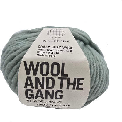 Image of a single ball of Crazy_Sexy_Wool_yarn_by_Wool_and_the_Gang_in the color eucalyptus Green with label on a white background.