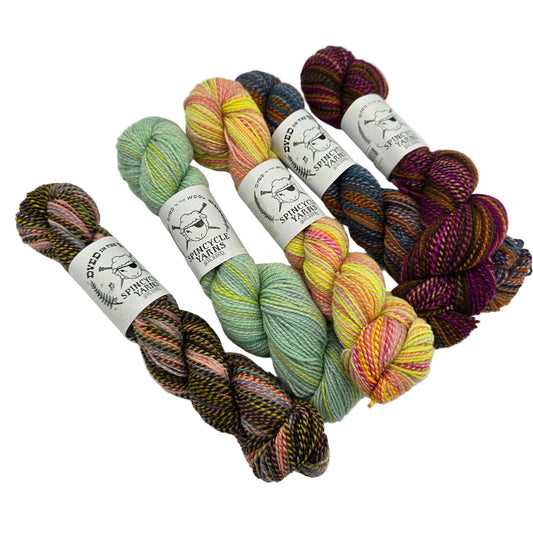 Five skeins of hand-dyed yarn from  arranged on a white background. The yarns feature variegated patterns in shades of green, yellow, pink, orange, blue, and purple.