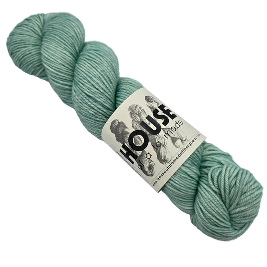 image of a single skin of House DK Yarn by House of a la Mode in the color Palm with label on a white background.