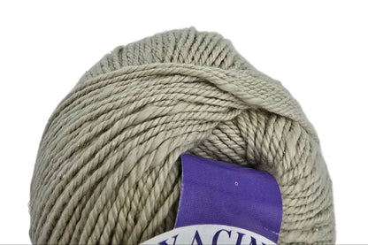 Hyacinth by Queensland Collection