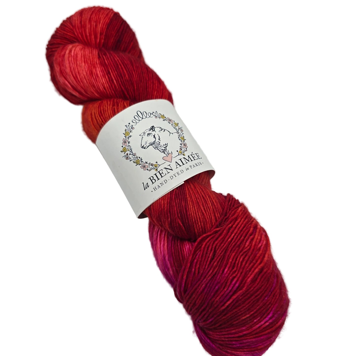 Image of a single hank of Merino Singles by La Biene Aimee yarn in the color Calcifer with label on a white background.