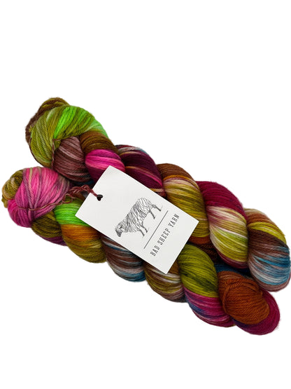 Two skieins of multicolored superwash merino  wool yarn by bad sheep yarns in the color muse with tag on white background.