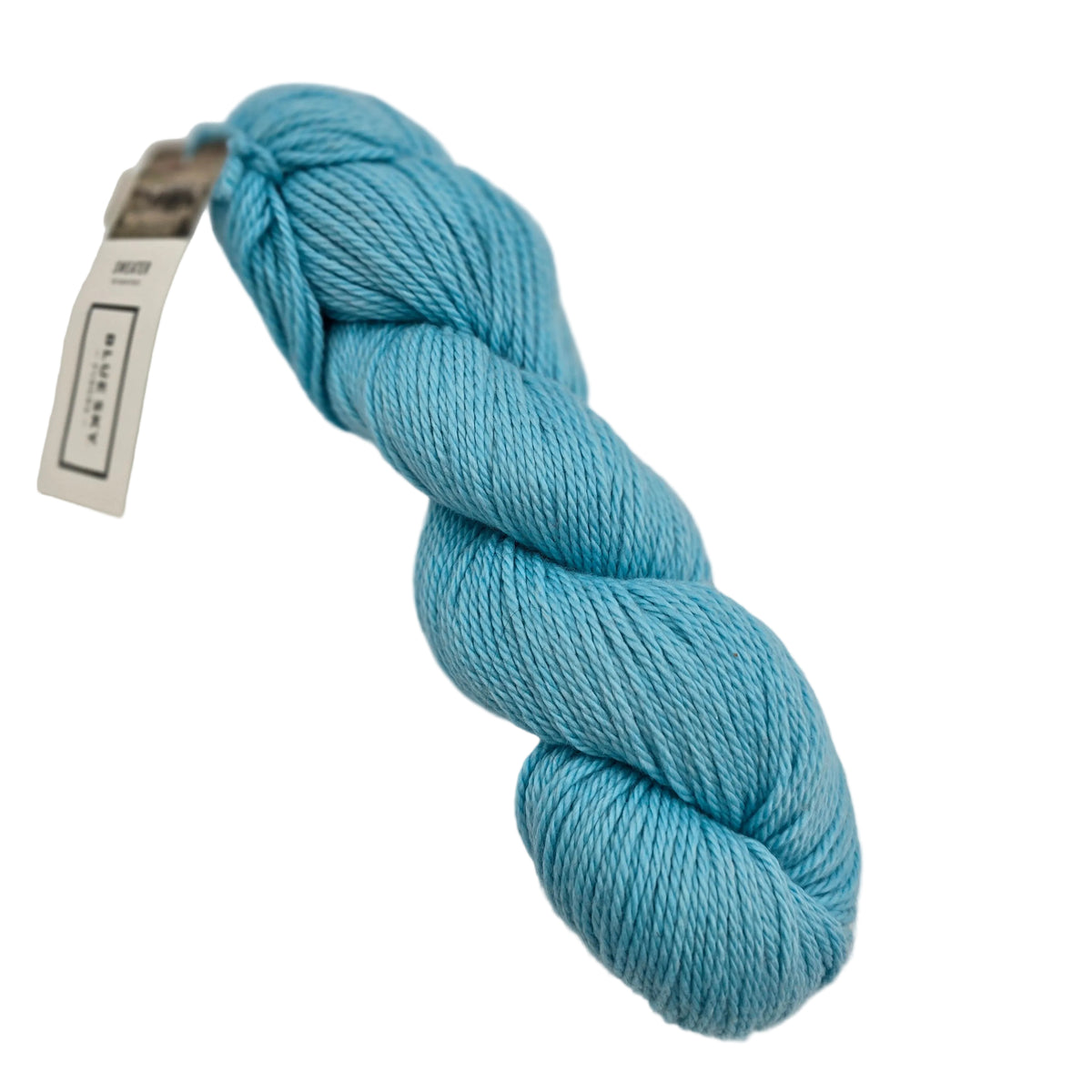 A skein of Sweater Worsted Yarn by Blue Sky Fibers in the color Splash a light turquoise  yarn with a paper label attached, photographed on a clean white background.