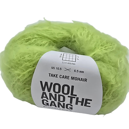 Image of a single ball of Take Care Mohair Yarn by Wool And The Gang in the color Candy Apple Green with label on a white background.